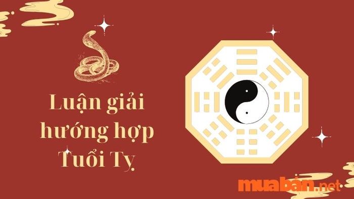 Giải mã tuổi Tỵ hợp hướng nào để gia tăng tài lộc và may mắn cho gia đình.