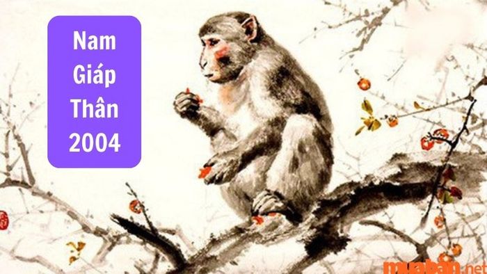 Nam mạng sinh năm 2004 thuộc Tây tứ mệnh, vì vậy họ hợp với các hướng thuộc Tây tứ trạch và không hợp với các hướng thuộc Đông tứ trạch.