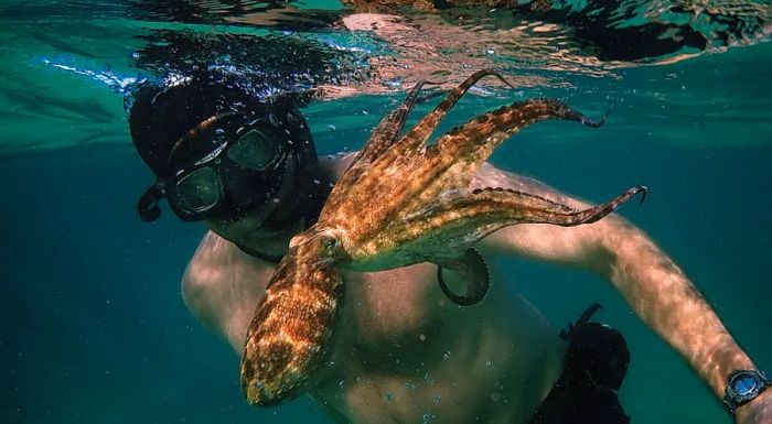 Foster explained that it took years of diving and learning to fully relax in the presence of animals before they began to interact with him.