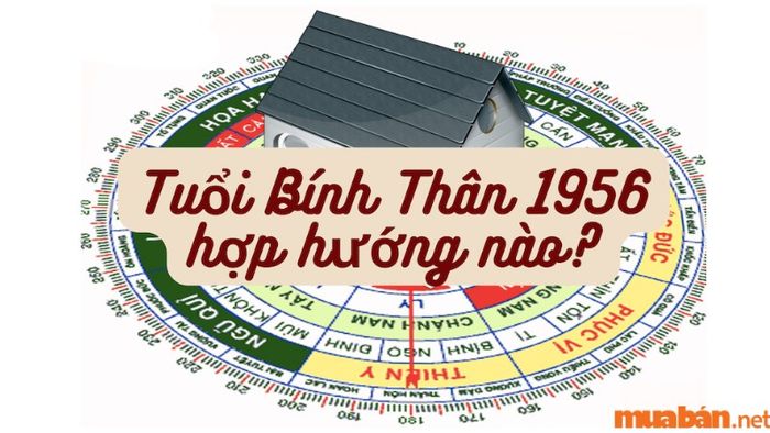 Hướng nhà hợp với nam tuổi Bính Thân (1956)