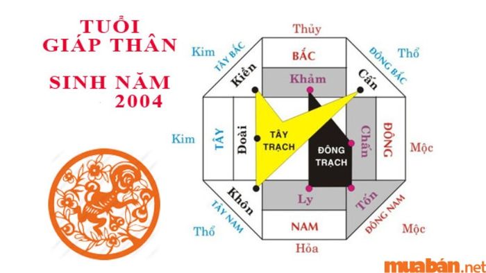 Hướng nhà phù hợp với tuổi Giáp Thân (2004)