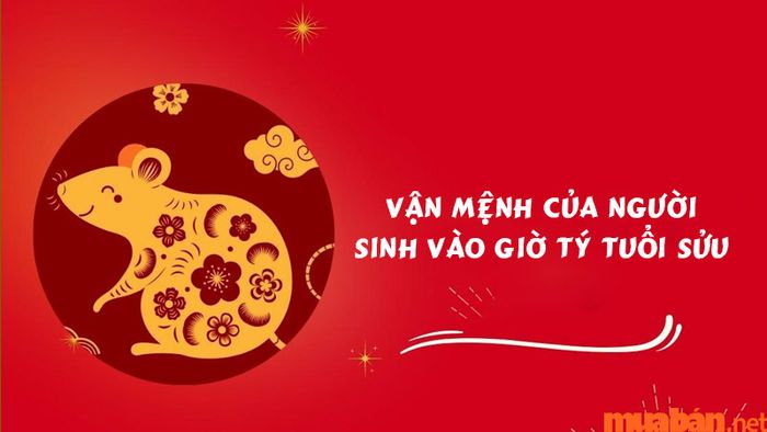 Vận mệnh của người sinh vào giờ Tý tuổi Sửu