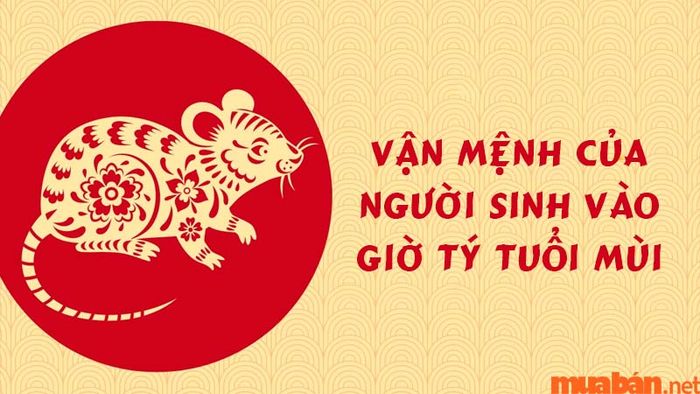 Vận mệnh của người sinh vào giờ Tý tuổi Mùi