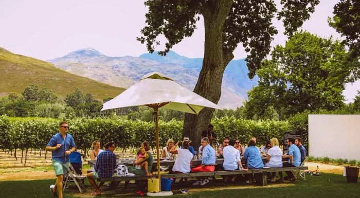 Franschhoek Valley is home to some of South Africa’s most renowned wine estates, making it a must-visit for wine enthusiasts.