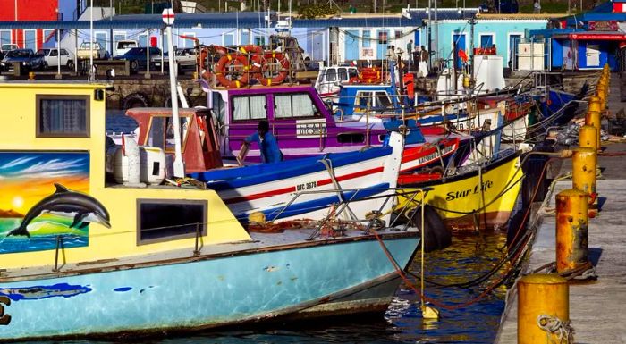 Kalk Bay is a quaint fishing village located along the shores of False Bay.