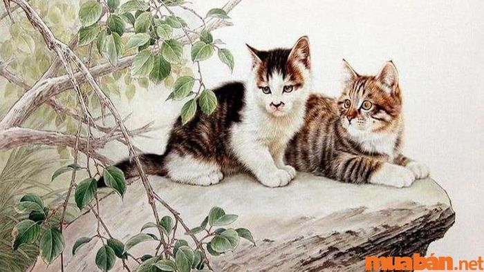 Giờ Dần là mấy giờ? Giải mã tử vi, vận số của người tuổi Mão sinh vào giờ Dần