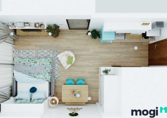 Để thiết kế căn hộ studio đẹp, việc trang trí cây xanh là điều cần thiết