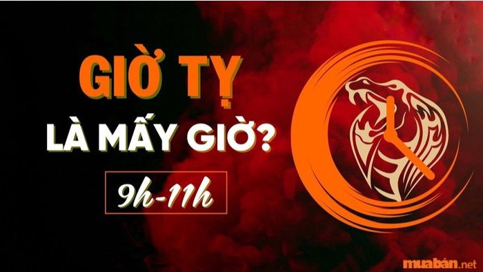 Giờ Tỵ kéo dài từ mấy giờ đến mấy giờ trong ngày?