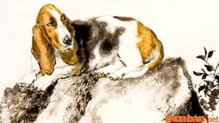 Giờ Dần là mấy giờ? Giải mã tử vi, vận số người tuổi Tuất sinh giờ Dần