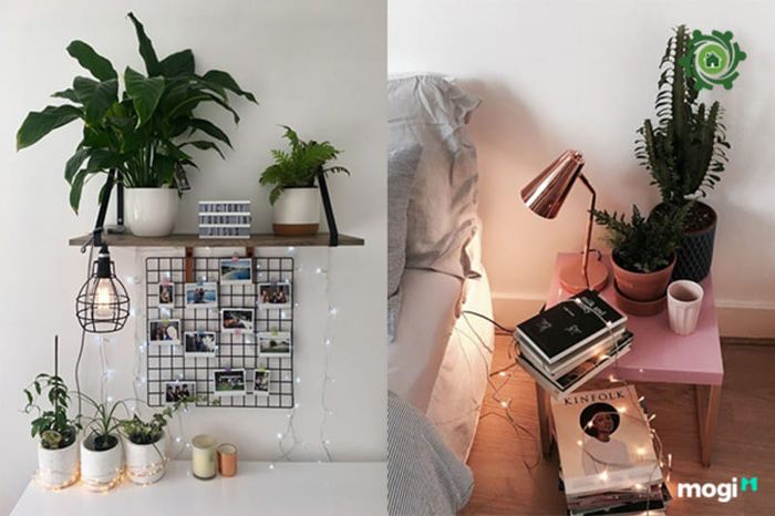 Lựa chọn nội thất thấp, đồ dùng nhỏ gọn để thuận tiện di chuyển