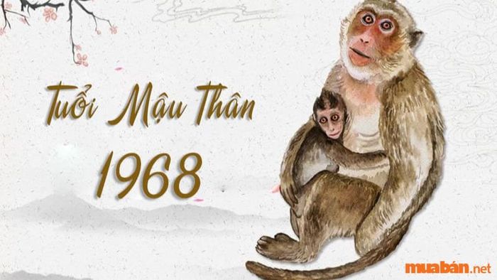 Hướng nhà phù hợp với nữ mạng tuổi Mậu Thân (1968)