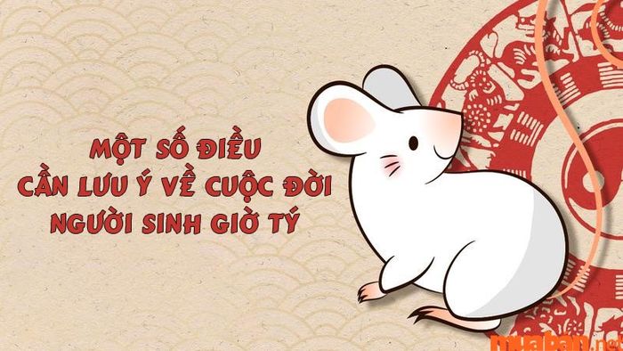 Một số điều cần lưu ý về cuộc đời những người sinh giờ Tý