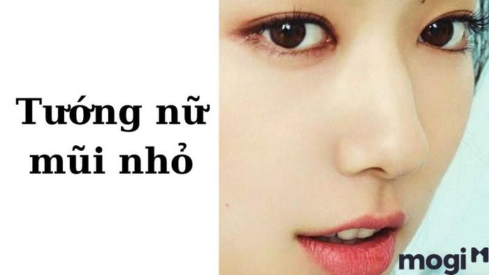 Phụ nữ có mũi nhỏ thường có một phong cách sống ổn định và thích sự yên bình. Dù không phải là thời điểm mạnh mẽ nhất trong cuộc đời, nhưng tuổi 40 sẽ vẫn là một giai đoạn thú vị, nơi bạn tiếp tục theo đuổi công việc và những mục tiêu của mình.