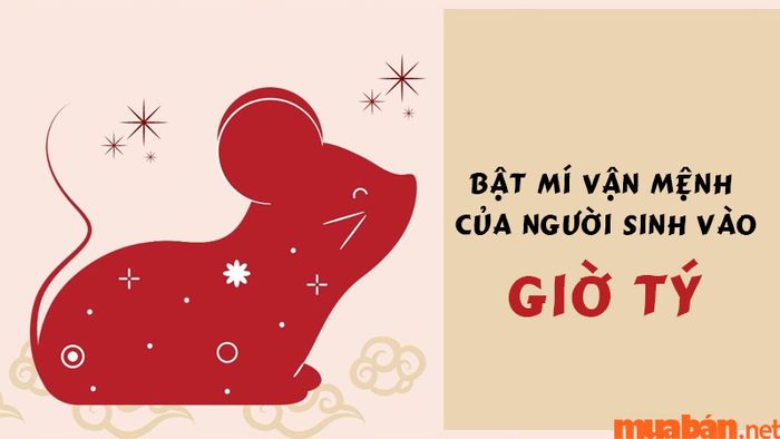 Khám phá vận mệnh của người sinh vào giờ Tý