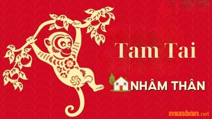 Tam Tai - Đại hạn cần tránh khi xây nhà cho gia chủ tuổi Nhâm Thân