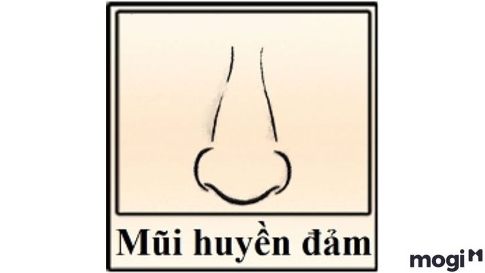 Tướng mũi đàn ông mũi huyền đảm mang lại nhiều may mắn cho chủ nhân. Tuy nhiên, họ phải trải qua những khó khăn trong tiền vận trước khi cuộc sống chuyển sang ổn định và giàu có. Những người sở hữu tướng mũi này thường rất kiên cường và có khả năng vượt qua mọi thử thách.