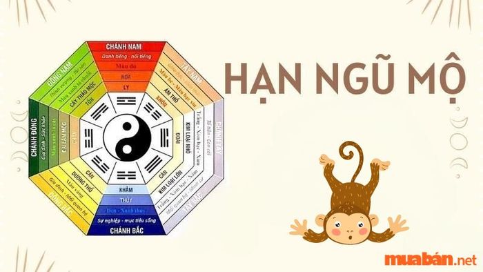 Trong năm 2024, nữ Giáp Thân cần phải cẩn trọng với tài lộc, vì hạn Ngũ Mộ có thể mang đến những tổn thất hoặc rắc rối không lường trước. Hãy chú ý đến việc chi tiêu và luôn giữ hóa đơn đầy đủ.