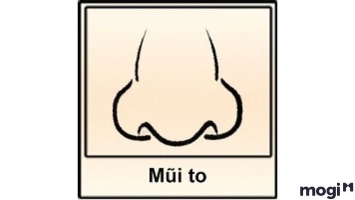 Tướng Mũi To Của Cả Nam Lẫn Nữ Đều Mang Lại Điềm Tốt
