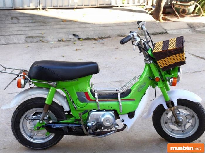 Honda Chaly CF50 007: Biểu tượng của sự đơn giản và tiện lợi