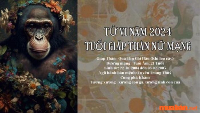 Tổng quan về nữ mạng tuổi Giáp Thân 2004