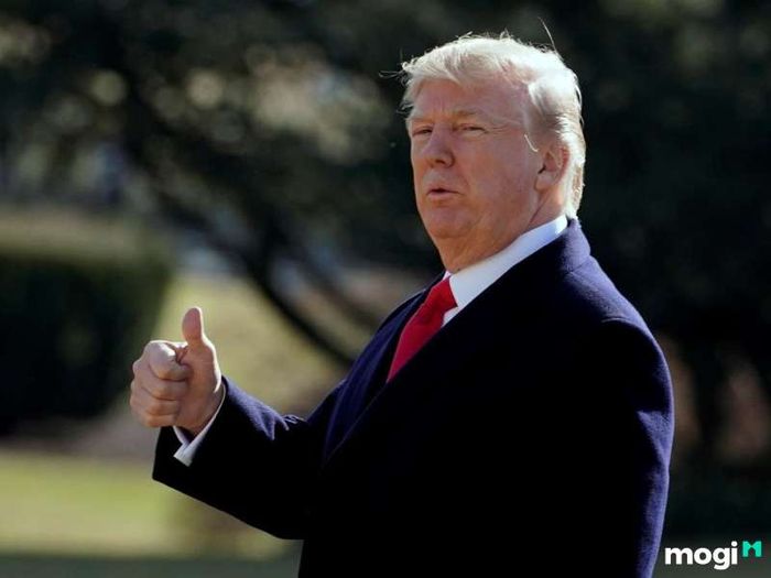 Tuổi Tuất là con gì?