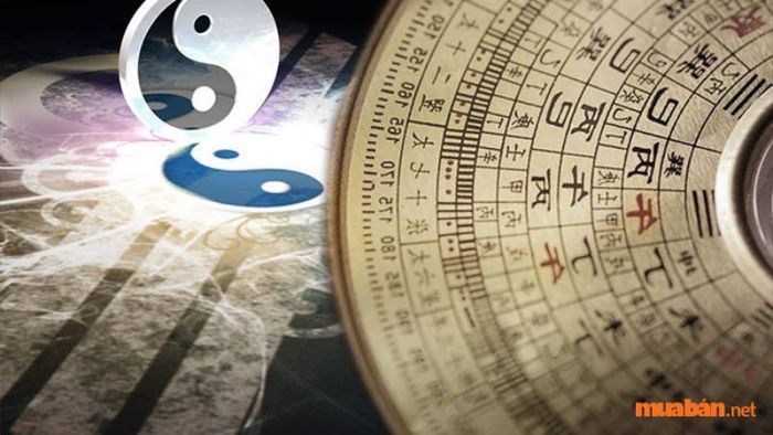 Tuổi Kỷ Mão xây nhà năm 2024 cần tránh hạn Kim Lâu để đảm bảo vận mệnh tốt đẹp