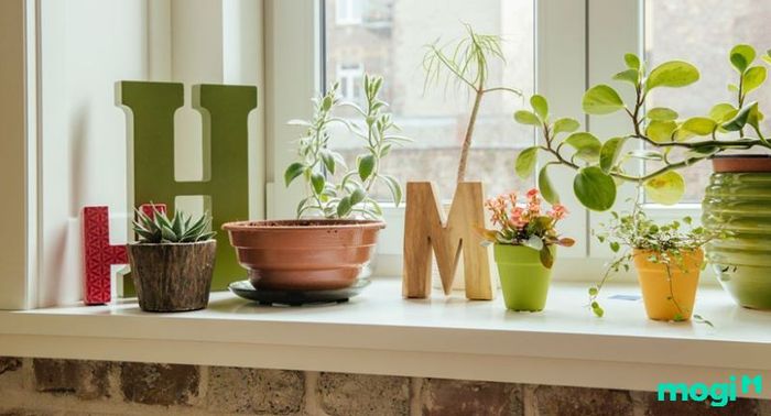 Trang trí cửa lớp mầm non sáng tạo và đầy màu sắc