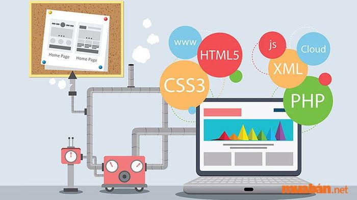 Lập trình web chính là công việc của Web Developer. Vậy, nhiệm vụ của lập trình viên web là gì? Họ cần thu thập toàn bộ dữ liệu từ đội ngũ thiết kế web, xây dựng hệ thống website hoàn chỉnh, kết nối với cơ sở dữ liệu và người dùng thông qua các ngôn ngữ lập trình máy tính.