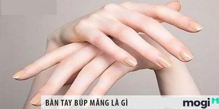 tay búp măng