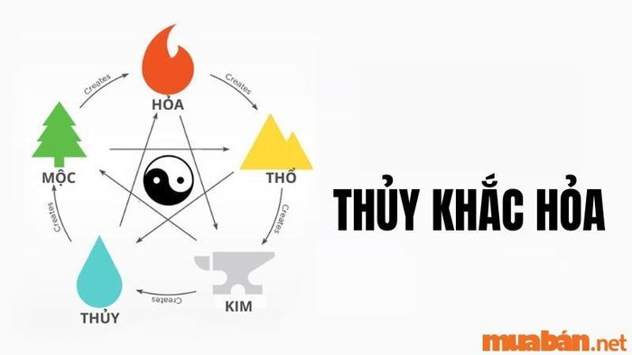 Với ngũ hành Thủy, nữ Giáp Thân 2004 sẽ gặp phải sự Xung Khắc với ngũ hành Hỏa của năm Giáp Thìn, ảnh hưởng đến sức khỏe và công việc.