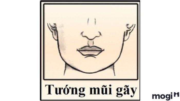Đàn ông sở hữu tướng mũi gãy thường có xu hướng sống ích kỷ, luôn đặt lợi ích bản thân lên hàng đầu mà không chú ý đến cảm nhận của những người xung quanh. Tính cách của họ dễ dàng bị ảnh hưởng bởi lòng ganh đua và sự tự cao, khó duy trì các mối quan hệ tốt đẹp.