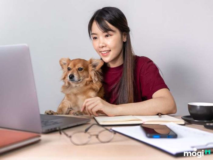 Tuổi Tuất là con gì?