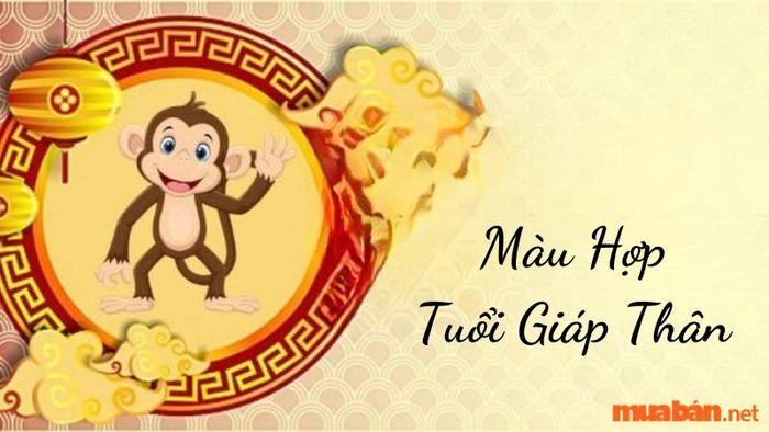 Màu sắc tương sinh với nữ mạng Giáp Thân