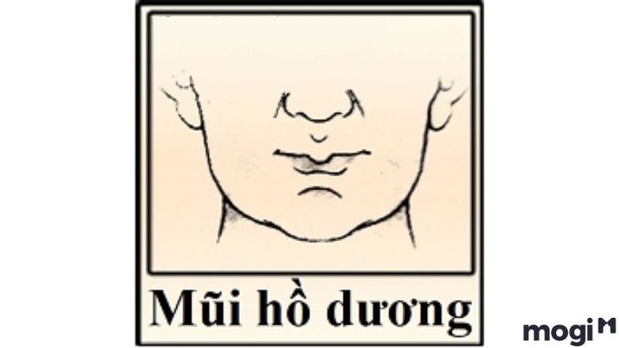 Đàn ông có tướng mũi hồ dương thường có cuộc sống sung túc, sự nghiệp thành công. Với chiếc mũi dài, sống mũi cao và thân mũi to, họ dễ dàng đạt được những thành công lớn trong cuộc sống và luôn được vận may đồng hành.