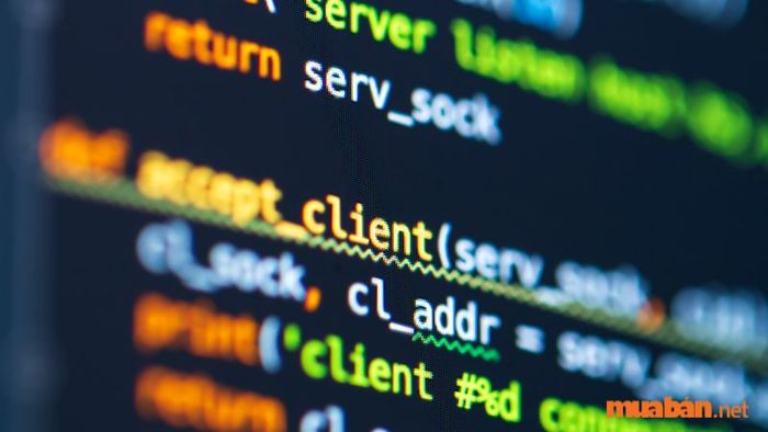 Lập trình web và thiết kế web luôn có mối quan hệ gắn bó chặt chẽ, đặc biệt là về khía cạnh nội dung. Mặc dù chúng là hai lĩnh vực riêng biệt, nhưng đôi khi công việc của chúng có thể thay thế cho nhau, hỗ trợ nhau trong quá trình phát triển một website hoàn chỉnh.