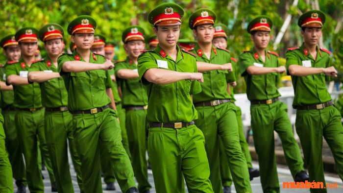 Mệnh Thủy phù hợp với nghề nào?