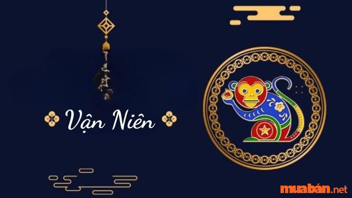 Vận niên của nữ mạng Giáp Thân trong năm 2024 sẽ có những thách thức và cơ hội. Bạn cần nắm bắt thời cơ và tránh những rủi ro không cần thiết để có một năm thành công.