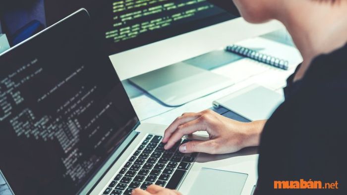 Lập trình viên Full-Stack sẽ đảm nhận tất cả các nhiệm vụ liên quan đến phát triển một website, bao gồm thiết kế giao diện, quản lý cơ sở dữ liệu, cũng như các công việc liên quan đến hệ thống và máy chủ để đảm bảo website hoạt động một cách tối ưu nhất.