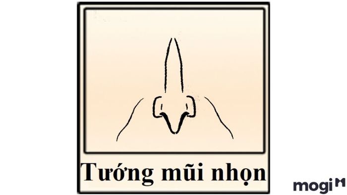 Mũi nhọn ở đàn ông, với đặc điểm sống mũi cao và lỗ mũi kín, thể hiện một người có phẩm hạnh tốt nhưng tính cách lại khá khép kín. Họ không thích giao tiếp nhiều và thường có một sự nghiệp không quá thăng tiến, gặp phải khó khăn do thiếu sự tương tác với ngoại giới.
