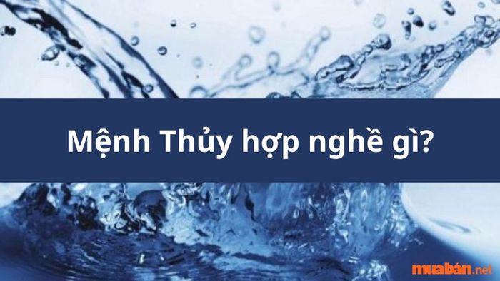 Mệnh Thủy hợp với những ngành nghề nào?