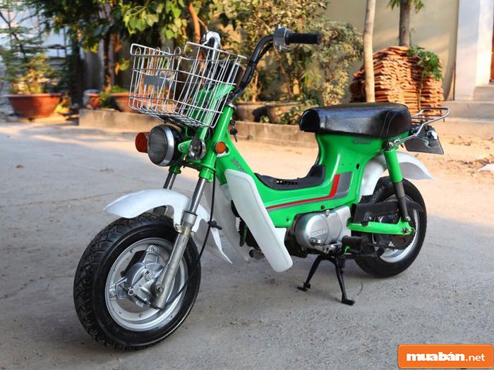 Honda Chaly CF50 003: Những điểm nổi bật của phiên bản mới