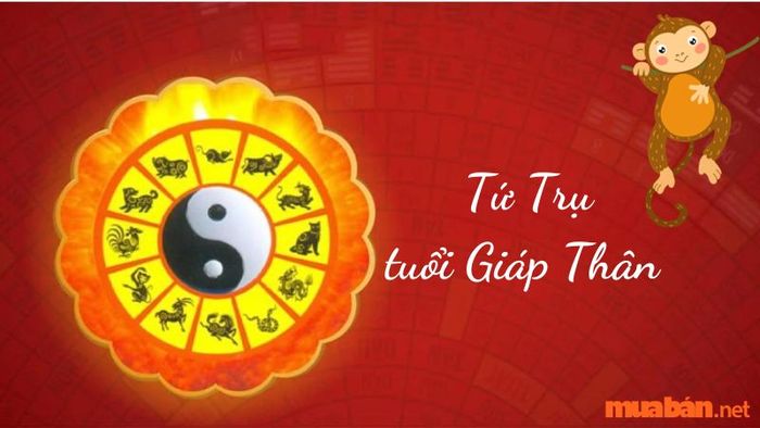 Tứ trụ của nữ Giáp Thân trong năm 2024 sẽ có những yếu tố cần chú ý, ảnh hưởng đến vận mệnh của bạn. Bạn cần nhận thức rõ các thay đổi và chuẩn bị tinh thần đối mặt với thử thách.