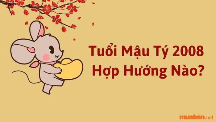 Gia chủ tuổi Mậu Tý hợp với những hướng nào để đón tài lộc và vượng khí?