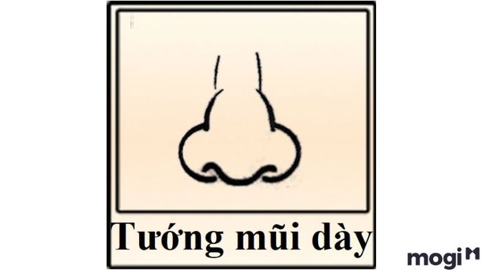 Tướng Mũi Đàn Ông Mũi Dày