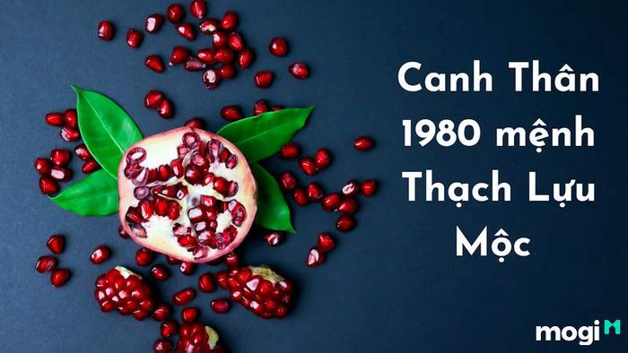 Thạch Lựu Mộc sinh vào năm nào?
