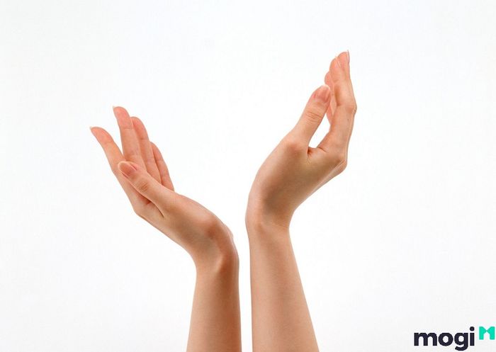 Sự nghiệp của những người có bàn tay búp măng