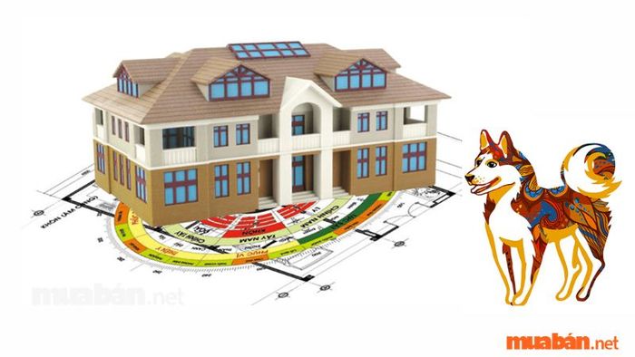 Hướng nhà phong thủy hợp với gia chủ tuổi Bính Tuất
