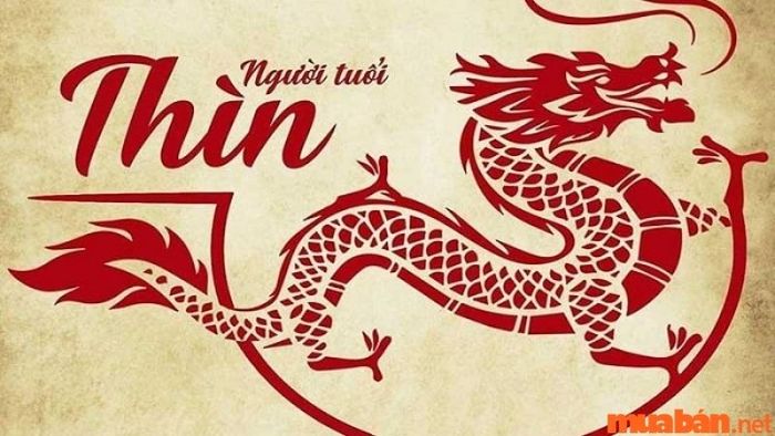 Thông tin về người tuổi Thìn
