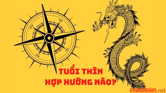 Hướng nào hợp với người tuổi Thìn? Những hướng nhà mang lại tài lộc cho tuổi Thìn