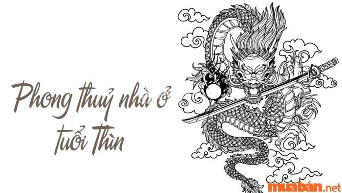 Vì sao nên lựa chọn hướng nhà hợp với tuổi của gia chủ?